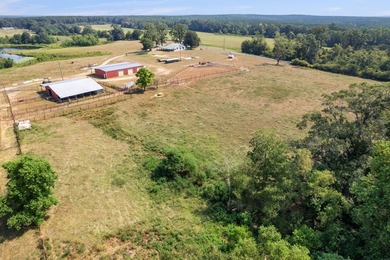 Don't miss out on this 138 +/- acres of pasture, a 3-bedroom - photo 54