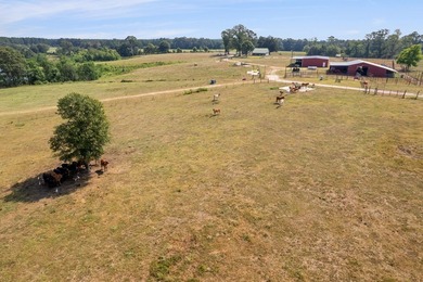 Don't miss out on this 138 +/- acres of pasture, a 3-bedroom - photo 55