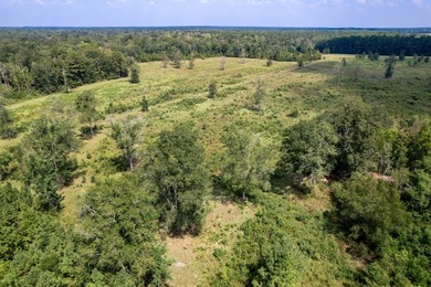 Don't miss out on this 138 +/- acres of pasture, a 3-bedroom - photo 57