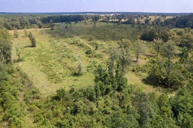 Don't miss out on this 138 +/- acres of pasture, a 3-bedroom - photo 58