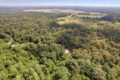 Don't miss out on this 138 +/- acres of pasture, a 3-bedroom - photo 59