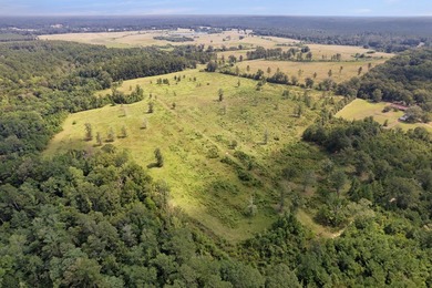 Don't miss out on this 138 +/- acres of pasture, a 3-bedroom - photo 60