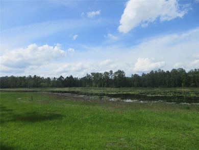 THE RAREST OF ALL PROPERTIES! This owner financed property is - photo 3