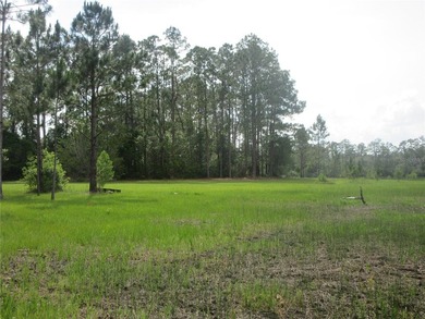 THE RAREST OF ALL PROPERTIES! This owner financed property is - photo 7