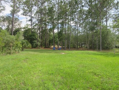 THE RAREST OF ALL PROPERTIES! This owner financed property is - photo 8
