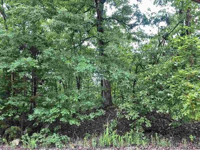 Diamond Lake Lot For Sale in Horseshoe Bend Arkansas