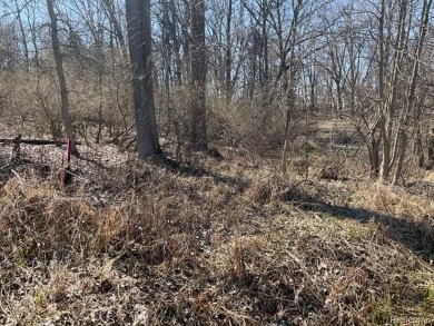 Lake Lapeer Lot For Sale in Metamora Michigan