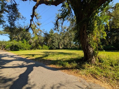 Beautiful cleared building lot on a quiet road in the heart of - photo 3