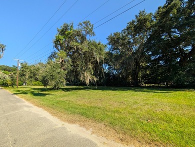 Beautiful cleared building lot on a quiet road in the heart of - photo 4