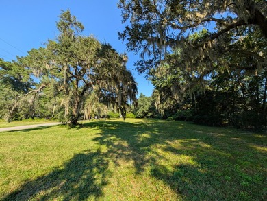 Beautiful cleared building lot on a quiet road in the heart of - photo 5