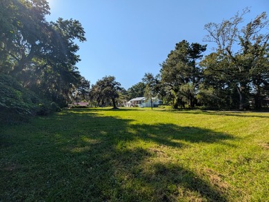 Beautiful cleared building lot on a quiet road in the heart of - photo 7