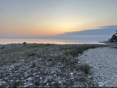 Secluded 1.3 acres and 168.40' of waterfront on Lake Huron - photo 7