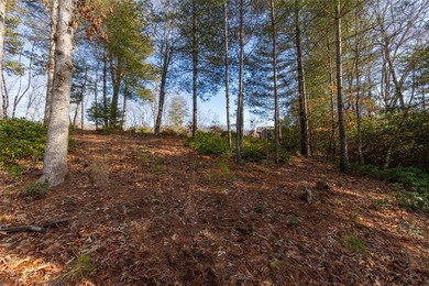 Very Nice easy build lot (gently sloping) in Cullowhee River - photo 11