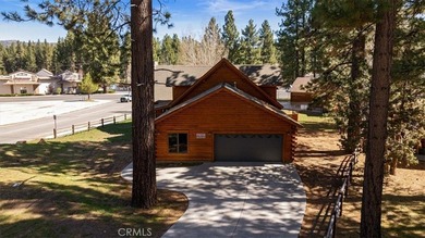 42133 Brownie - photo 11