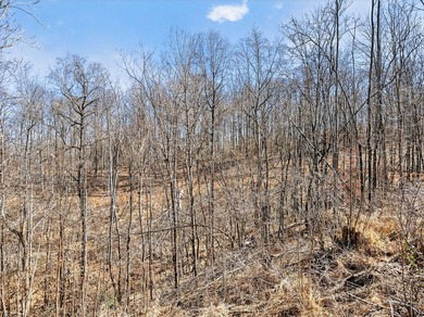 Dale Hollow Lake view lot just a few minutes to Eagle Cove - photo 11