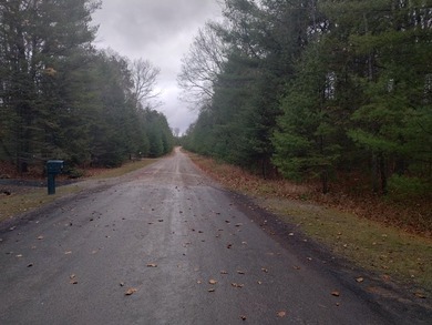 Nice gently sloping toward the road, with many newer homes in - photo 11