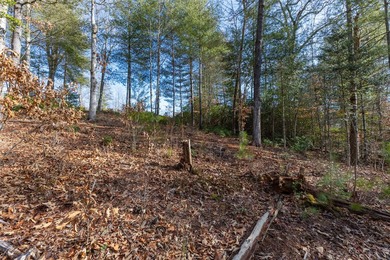 Very Nice easy build lot (gently sloping) in Cullowhee River - photo 12