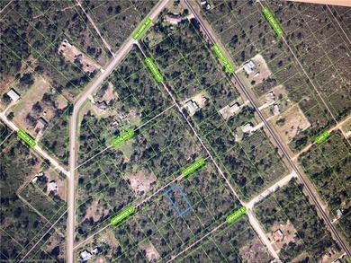 Oversized lot in Lake Placid, Highlands county Florida. Buy now - photo 2