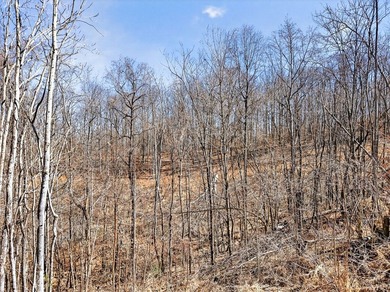 Dale Hollow Lake view lot just a few minutes to Eagle Cove - photo 12