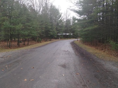 Nice gently sloping toward the road, with many newer homes in - photo 12