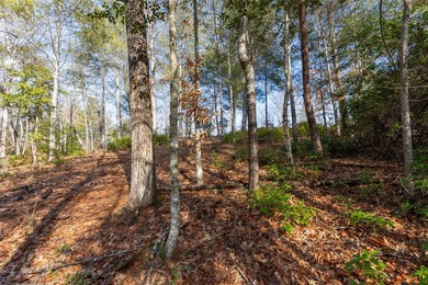 Very Nice easy build lot (gently sloping) in Cullowhee River - photo 13