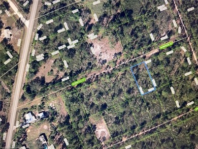 Oversized lot in Lake Placid, Highlands county Florida. Buy now - photo 3