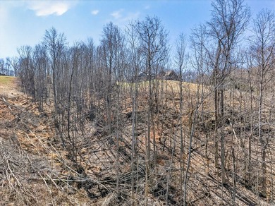 Dale Hollow Lake view lot just a few minutes to Eagle Cove - photo 13