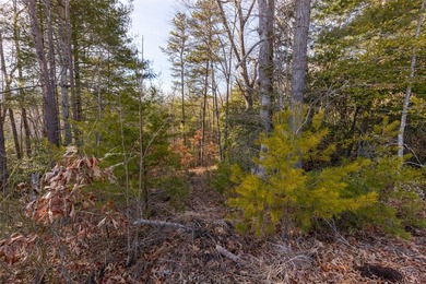 Very Nice easy build lot (gently sloping) in Cullowhee River - photo 14