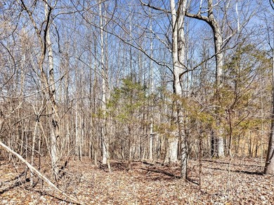 Dale Hollow Lake view lot just a few minutes to Eagle Cove - photo 14