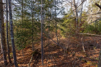 Very Nice easy build lot (gently sloping) in Cullowhee River - photo 15