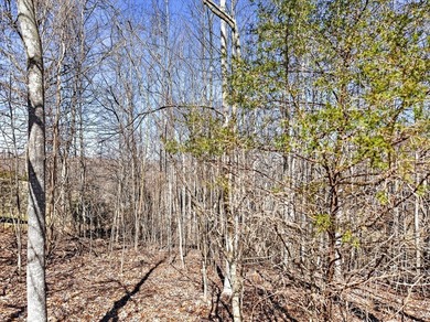 Dale Hollow Lake view lot just a few minutes to Eagle Cove - photo 15