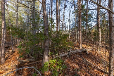 Very Nice easy build lot (gently sloping) in Cullowhee River - photo 16