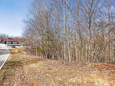 Dale Hollow Lake view lot just a few minutes to Eagle Cove - photo 16