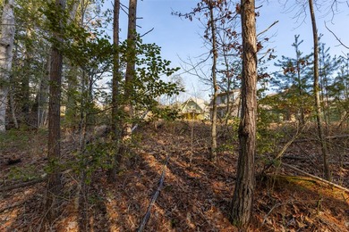 Very Nice easy build lot (gently sloping) in Cullowhee River - photo 17