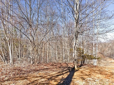 Dale Hollow Lake view lot just a few minutes to Eagle Cove - photo 17