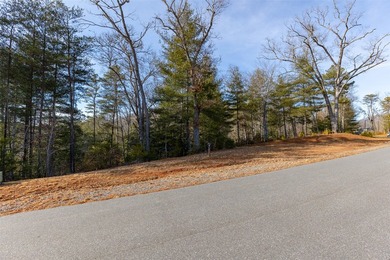 Very Nice easy build lot (gently sloping) in Cullowhee River - photo 18