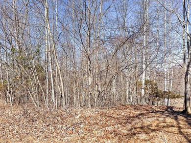 Dale Hollow Lake view lot just a few minutes to Eagle Cove - photo 18