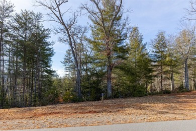 Very Nice easy build lot (gently sloping) in Cullowhee River - photo 19