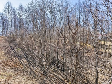 Dale Hollow Lake view lot just a few minutes to Eagle Cove - photo 19