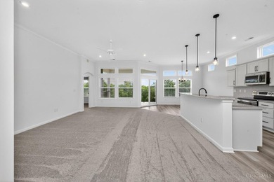 Experience Refined, Low-Maintenance Living In This Newer - photo 20