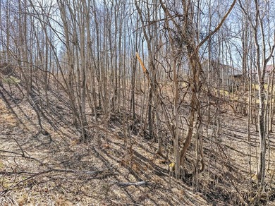 Dale Hollow Lake view lot just a few minutes to Eagle Cove - photo 20