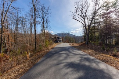 Very Nice easy build lot (gently sloping) in Cullowhee River - photo 21
