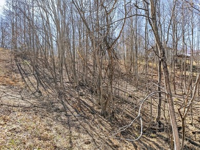 Dale Hollow Lake view lot just a few minutes to Eagle Cove - photo 21