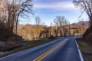 Very Nice easy build lot (gently sloping) in Cullowhee River - photo 22