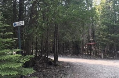 Secluded 2.40acre lot and 424.40 of waterfront on Lake Huron - photo 3