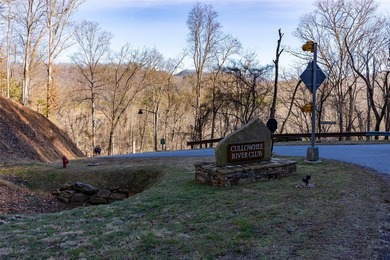 Very Nice easy build lot (gently sloping) in Cullowhee River - photo 23