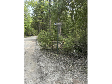 Secluded 2.40acre lot and 424.40 of waterfront on Lake Huron - photo 4