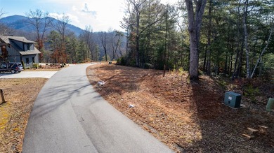 Very Nice easy build lot (gently sloping) in Cullowhee River - photo 25