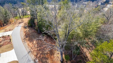 Very Nice easy build lot (gently sloping) in Cullowhee River - photo 26