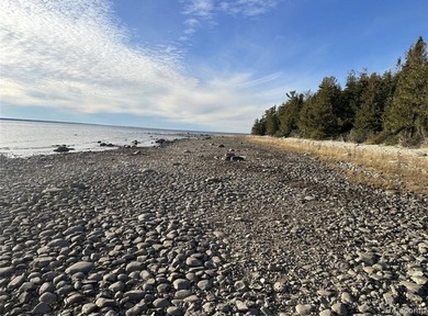 Secluded 2.40acre lot and 424.40 of waterfront on Lake Huron - photo 7